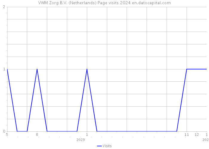 VWM Zorg B.V. (Netherlands) Page visits 2024 