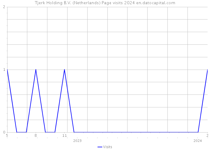 Tjerk Holding B.V. (Netherlands) Page visits 2024 