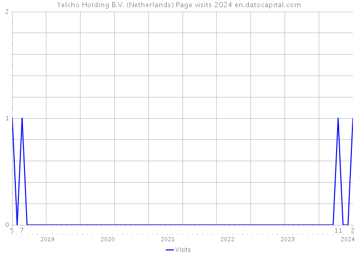 Yelcho Holding B.V. (Netherlands) Page visits 2024 