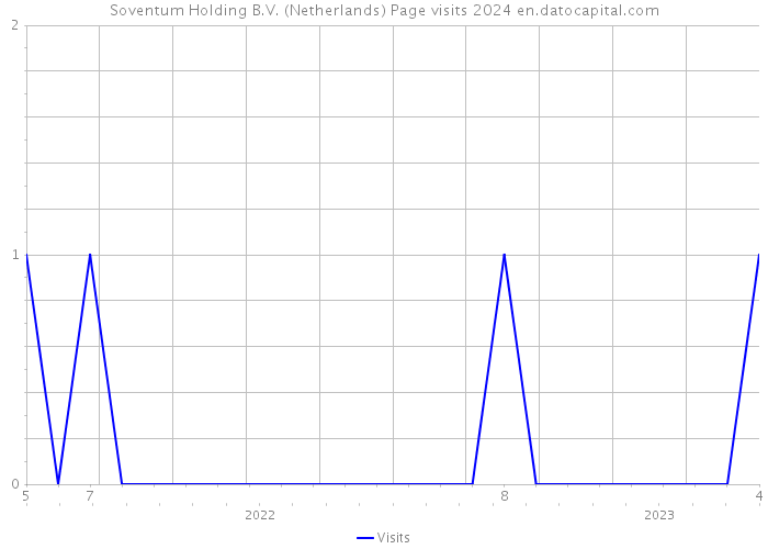 Soventum Holding B.V. (Netherlands) Page visits 2024 