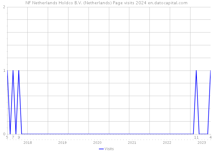 NF Netherlands Holdco B.V. (Netherlands) Page visits 2024 