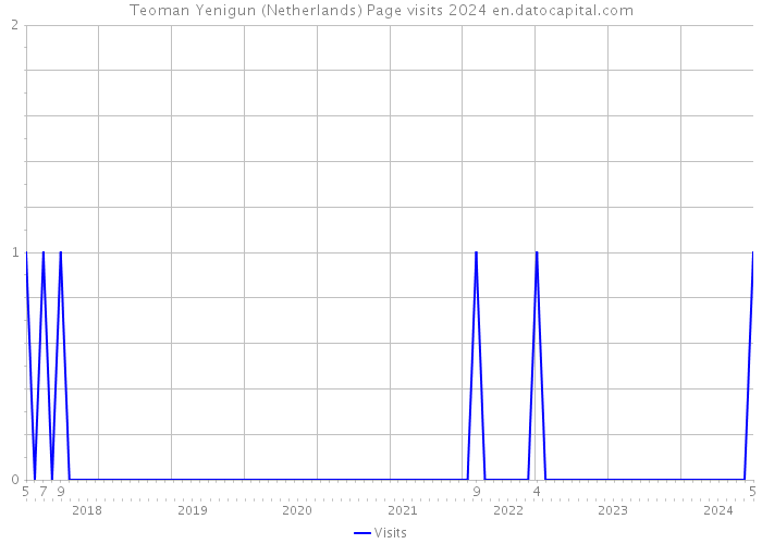 Teoman Yenigun (Netherlands) Page visits 2024 