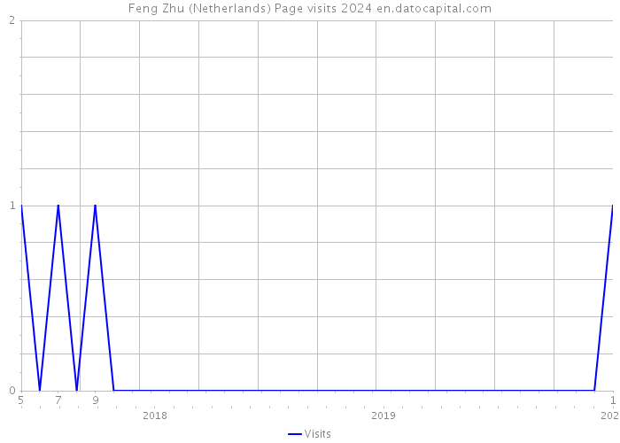Feng Zhu (Netherlands) Page visits 2024 
