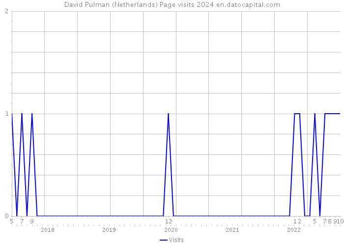 David Pulman (Netherlands) Page visits 2024 
