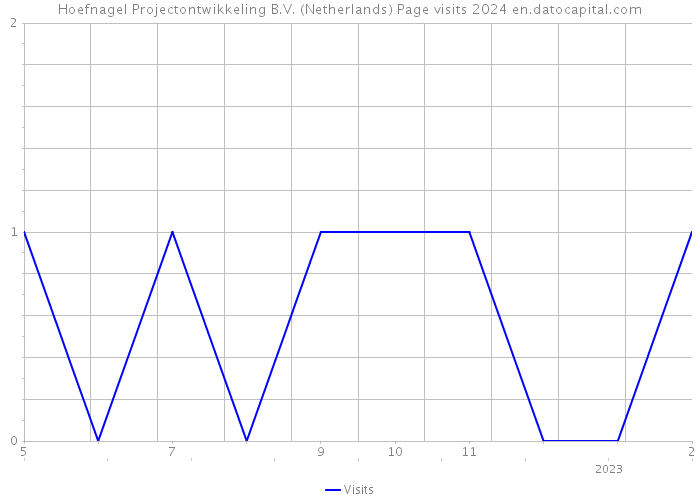 Hoefnagel Projectontwikkeling B.V. (Netherlands) Page visits 2024 