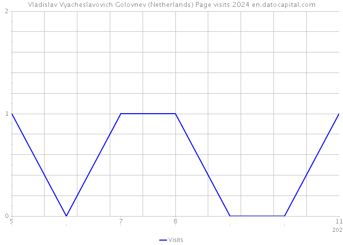 Vladislav Vyacheslavovich Golovnev (Netherlands) Page visits 2024 