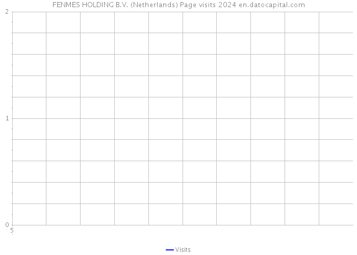 FENMES HOLDING B.V. (Netherlands) Page visits 2024 