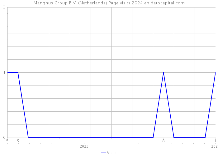 Mangnus Group B.V. (Netherlands) Page visits 2024 