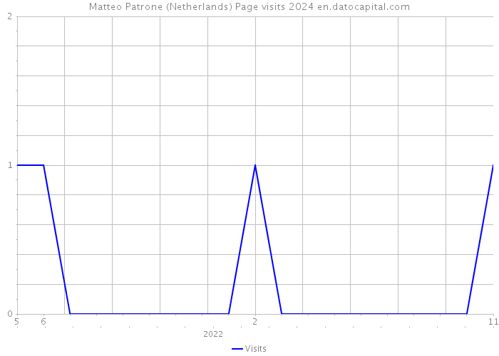 Matteo Patrone (Netherlands) Page visits 2024 