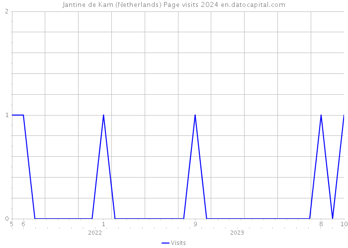 Jantine de Kam (Netherlands) Page visits 2024 