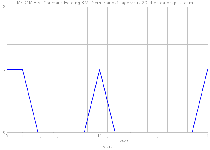 Mr. C.M.F.M. Goumans Holding B.V. (Netherlands) Page visits 2024 