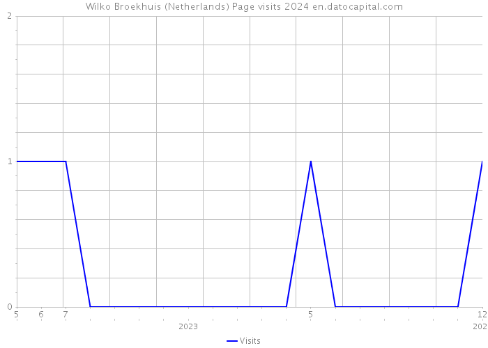 Wilko Broekhuis (Netherlands) Page visits 2024 