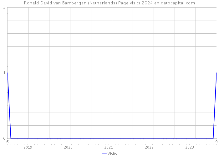 Ronald David van Bambergen (Netherlands) Page visits 2024 