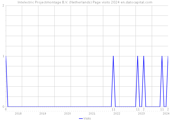 Intelectric Projectmontage B.V. (Netherlands) Page visits 2024 
