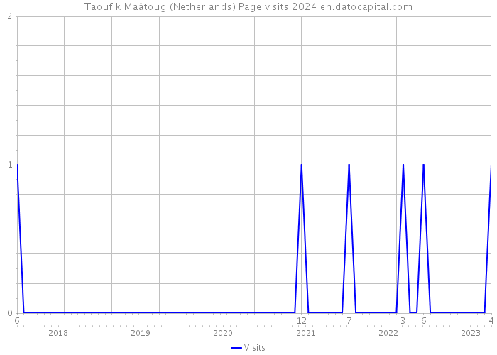Taoufik Maâtoug (Netherlands) Page visits 2024 