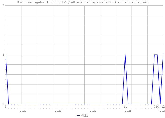 Bosboom Tigelaar Holding B.V. (Netherlands) Page visits 2024 