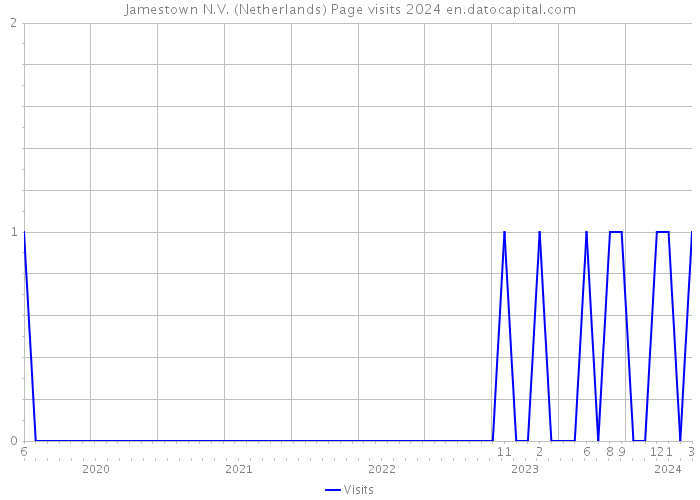 Jamestown N.V. (Netherlands) Page visits 2024 