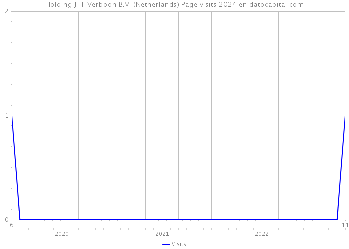Holding J.H. Verboon B.V. (Netherlands) Page visits 2024 