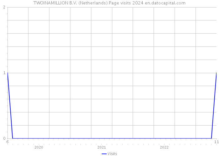 TWOINAMILLION B.V. (Netherlands) Page visits 2024 