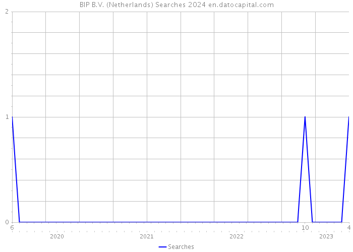 BIP B.V. (Netherlands) Searches 2024 
