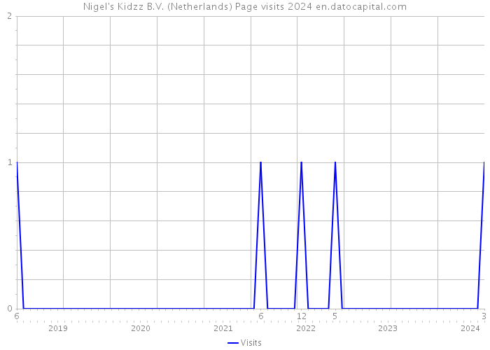 Nigel's Kidzz B.V. (Netherlands) Page visits 2024 