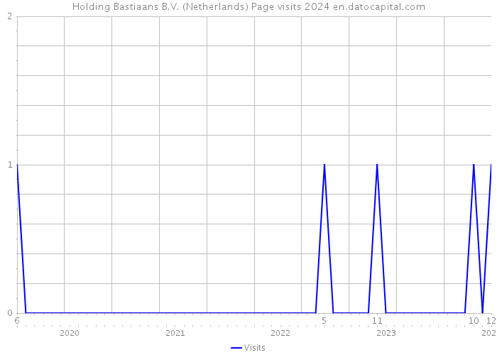 Holding Bastiaans B.V. (Netherlands) Page visits 2024 