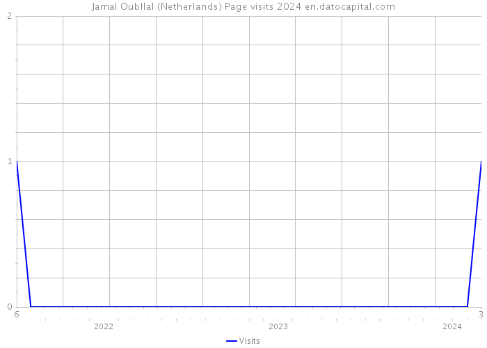 Jamal Oubllal (Netherlands) Page visits 2024 