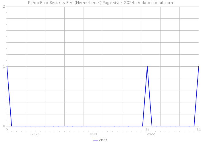 Penta Flex Security B.V. (Netherlands) Page visits 2024 