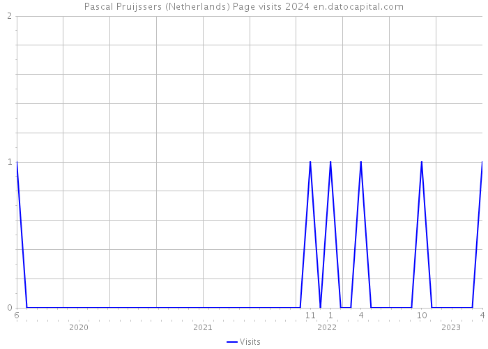Pascal Pruijssers (Netherlands) Page visits 2024 