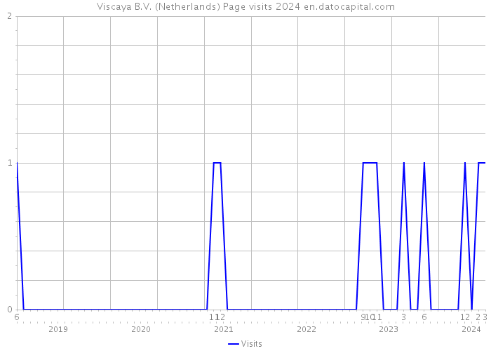 Viscaya B.V. (Netherlands) Page visits 2024 