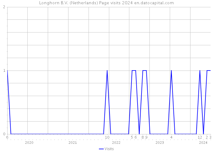 Longhorn B.V. (Netherlands) Page visits 2024 