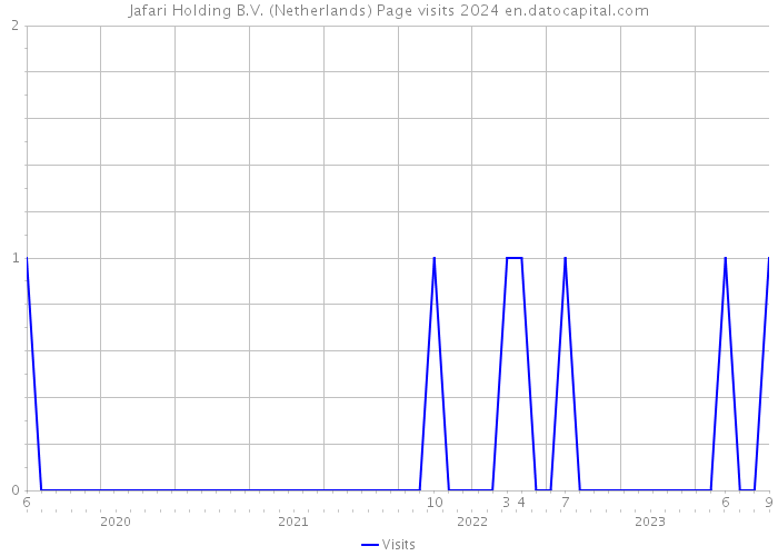 Jafari Holding B.V. (Netherlands) Page visits 2024 