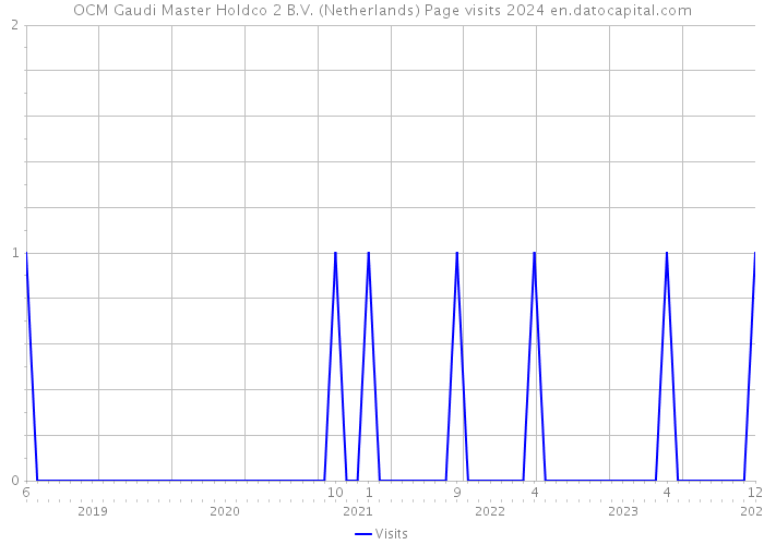 OCM Gaudi Master Holdco 2 B.V. (Netherlands) Page visits 2024 