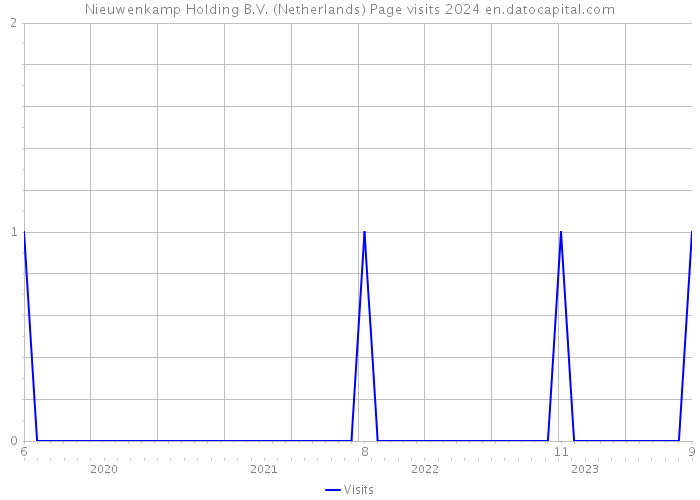 Nieuwenkamp Holding B.V. (Netherlands) Page visits 2024 
