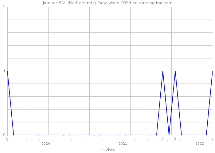 Jambar B.V. (Netherlands) Page visits 2024 