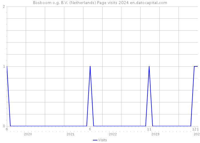 Bosboom o.g. B.V. (Netherlands) Page visits 2024 