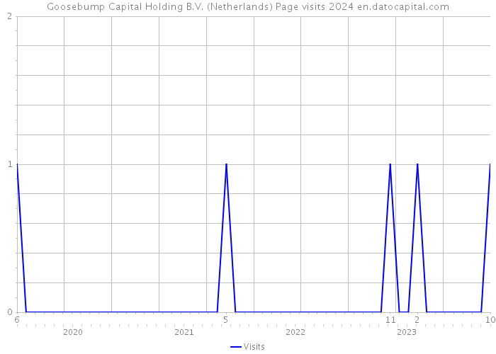 Goosebump Capital Holding B.V. (Netherlands) Page visits 2024 