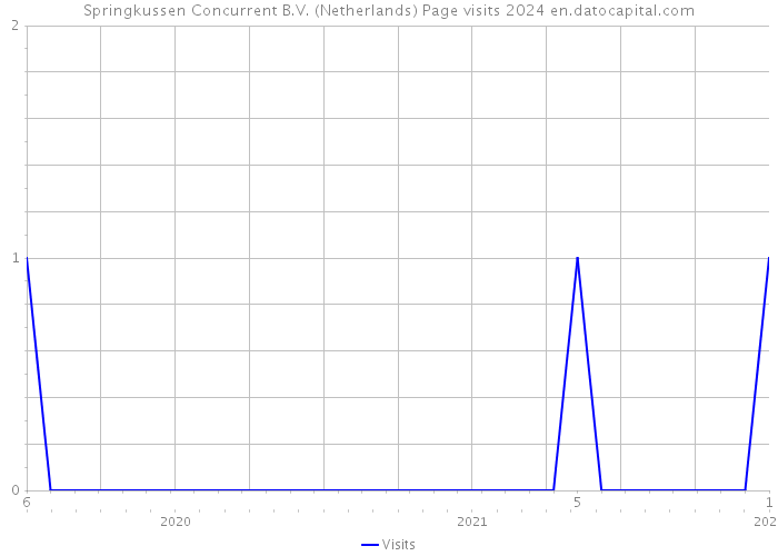 Springkussen Concurrent B.V. (Netherlands) Page visits 2024 