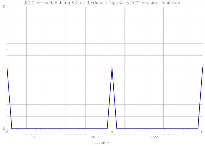 J.C.G. Verhoek Holding B.V. (Netherlands) Page visits 2024 