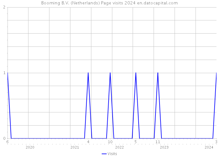 Booming B.V. (Netherlands) Page visits 2024 