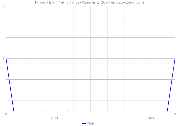 Hichem Hafdi (Netherlands) Page visits 2024 