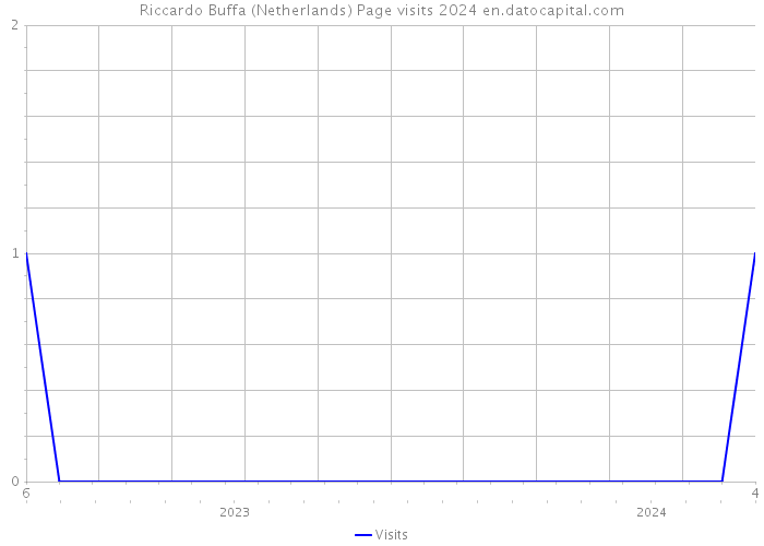 Riccardo Buffa (Netherlands) Page visits 2024 