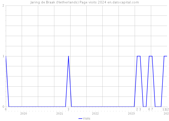 Jaring de Braak (Netherlands) Page visits 2024 