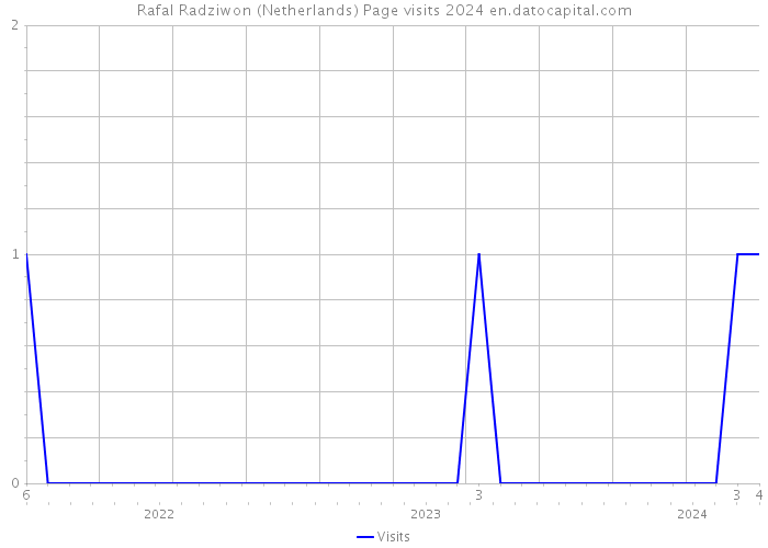 Rafal Radziwon (Netherlands) Page visits 2024 