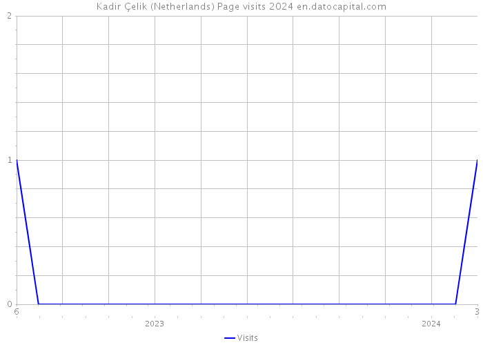 Kadir Çelik (Netherlands) Page visits 2024 