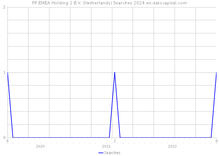 PP EMEA Holding 2 B.V. (Netherlands) Searches 2024 