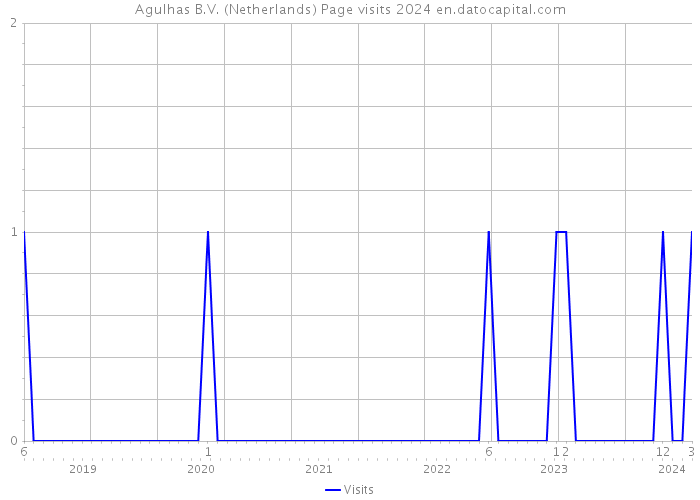Agulhas B.V. (Netherlands) Page visits 2024 