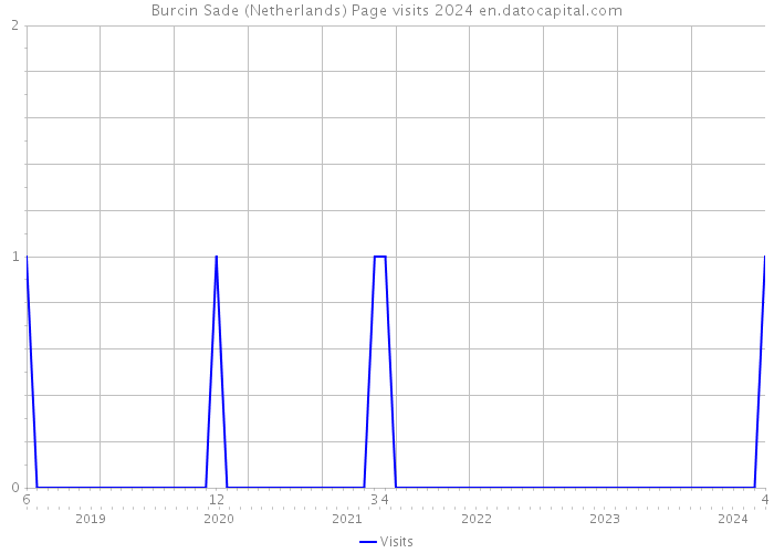 Burcin Sade (Netherlands) Page visits 2024 