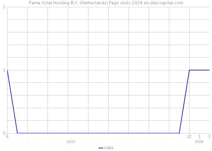 Fama Volat Holding B.V. (Netherlands) Page visits 2024 