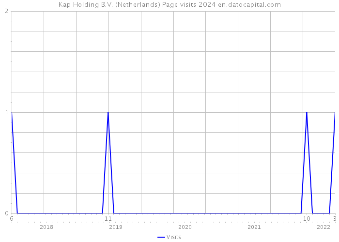 Kap Holding B.V. (Netherlands) Page visits 2024 